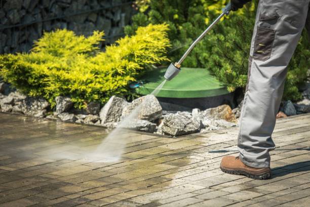 Best Roof Washing  in Bellefonte, DE